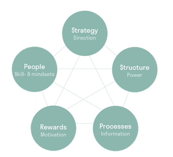 Graph of interconnecting strategy, structure, processes, rewards, and people.