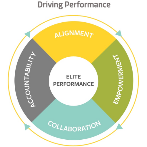 Driving Performance Infographic.