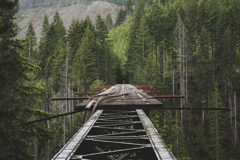 unfinished railroad tracks on a bridge in the woods.