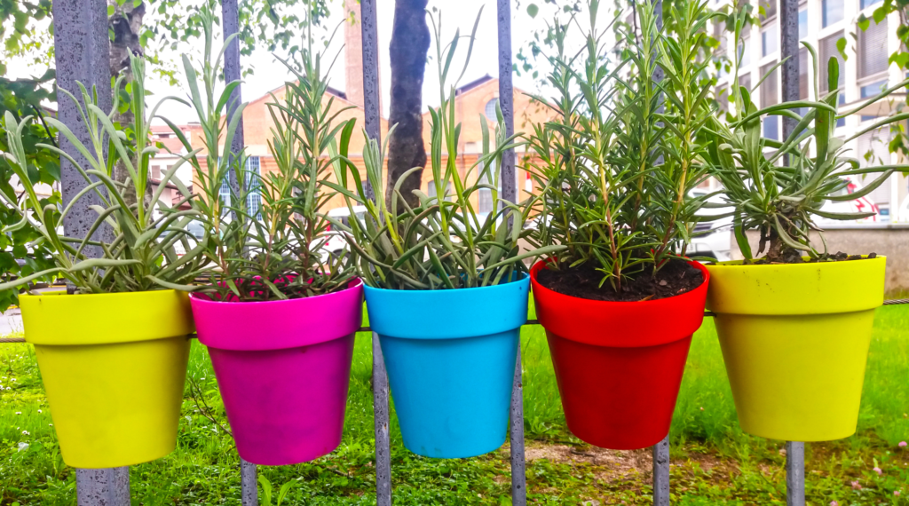 Colorful pots filled with a variety of plants hanging on a fence.